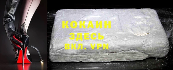 гашик Богданович