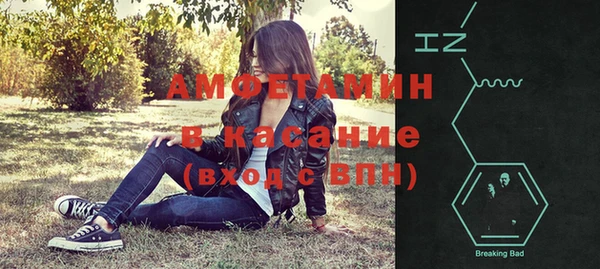 амф Бородино