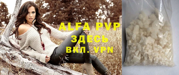 амф Бородино