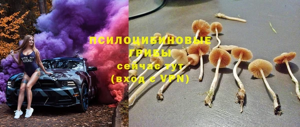 амф Бородино
