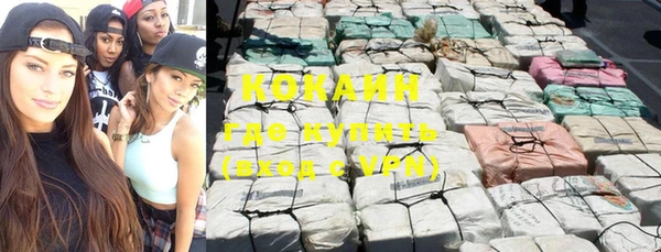 гашик Богданович