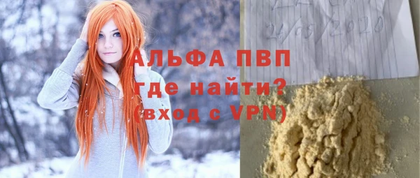гашик Богданович