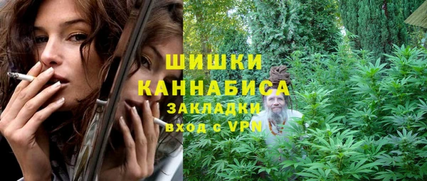 spice Бронницы